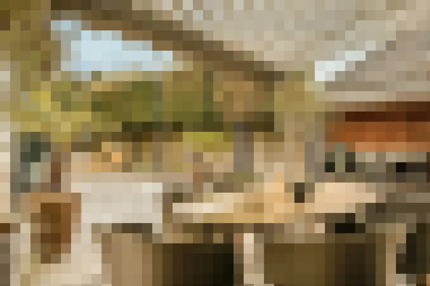 Boswinde 47 Den Haag thumbnail 90