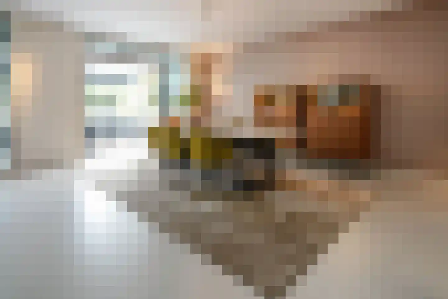 Boswinde 47 Den Haag thumbnail 91