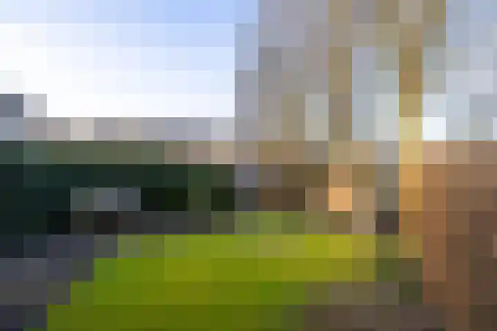 Boswinde 49 Heiloo thumbnail 28