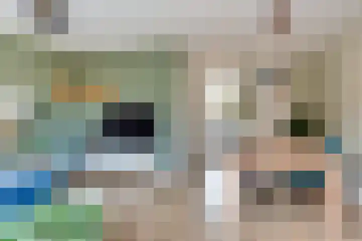 Boswinde 49 Heiloo foto 3