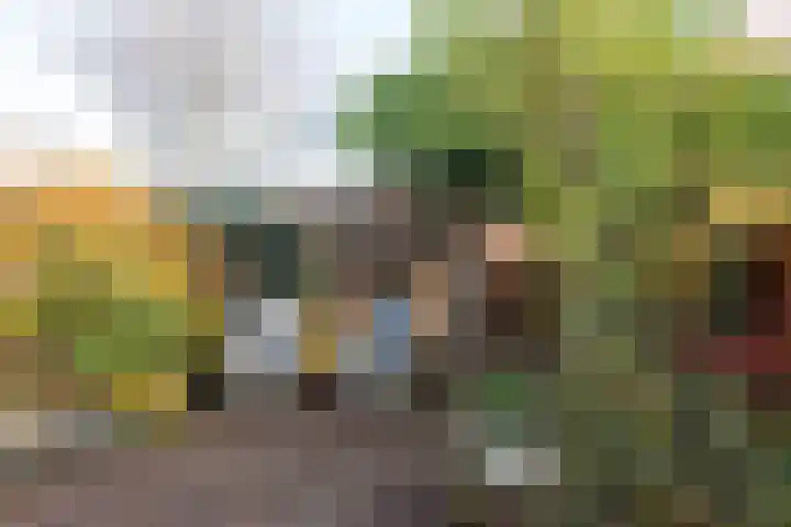 Boswinde 49 Heiloo thumbnail 30