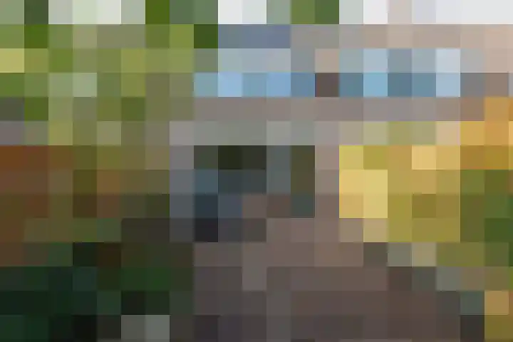 Boswinde 49 Heiloo thumbnail 32