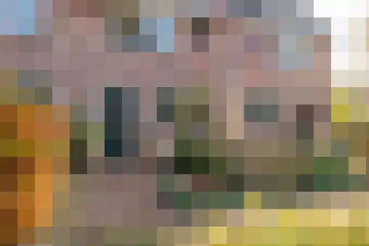 Boswinde 49 Heiloo thumbnail 39