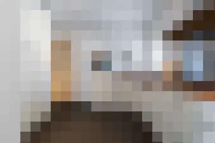 Boswinde 49 Heiloo thumbnail 47