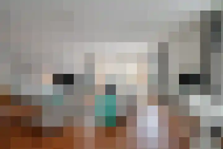 Boswinde 56 Den Haag thumbnail 11
