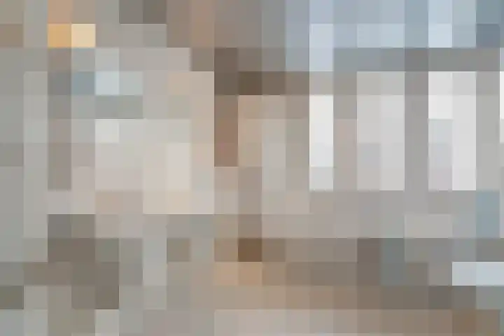 Boswinde 56 Den Haag thumbnail 31