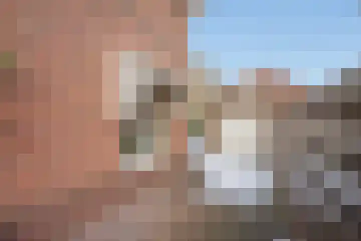 Boswinde 56 Den Haag thumbnail 37