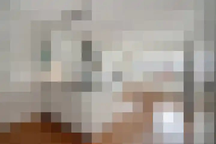 Boswinde 56 Den Haag thumbnail 4