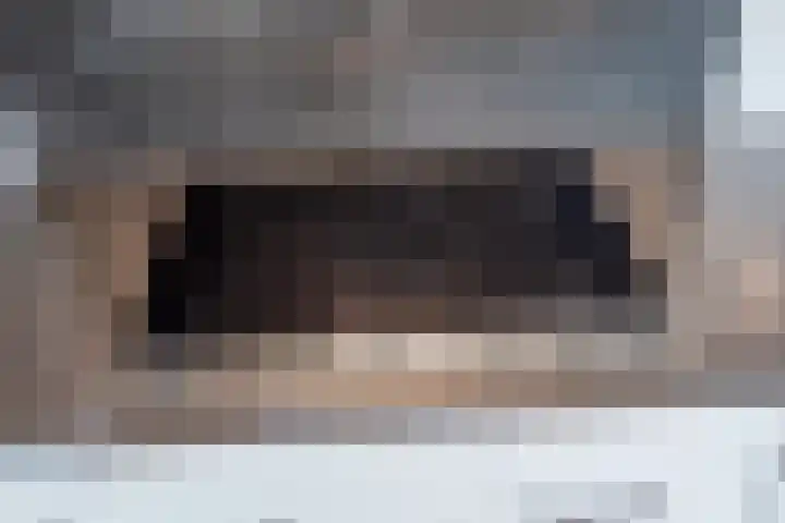 Boswinde 56 Den Haag thumbnail 6