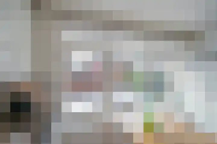 Boswinde 56 Den Haag thumbnail 7
