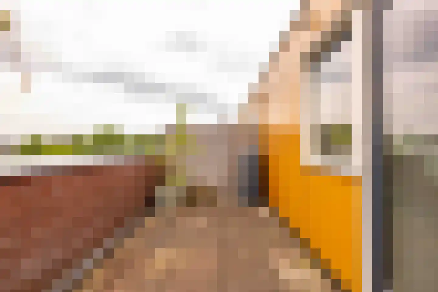Boswitje 11 Hoogeveen thumbnail 43