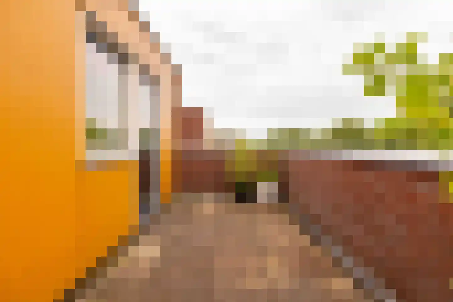 Boswitje 11 Hoogeveen thumbnail 44