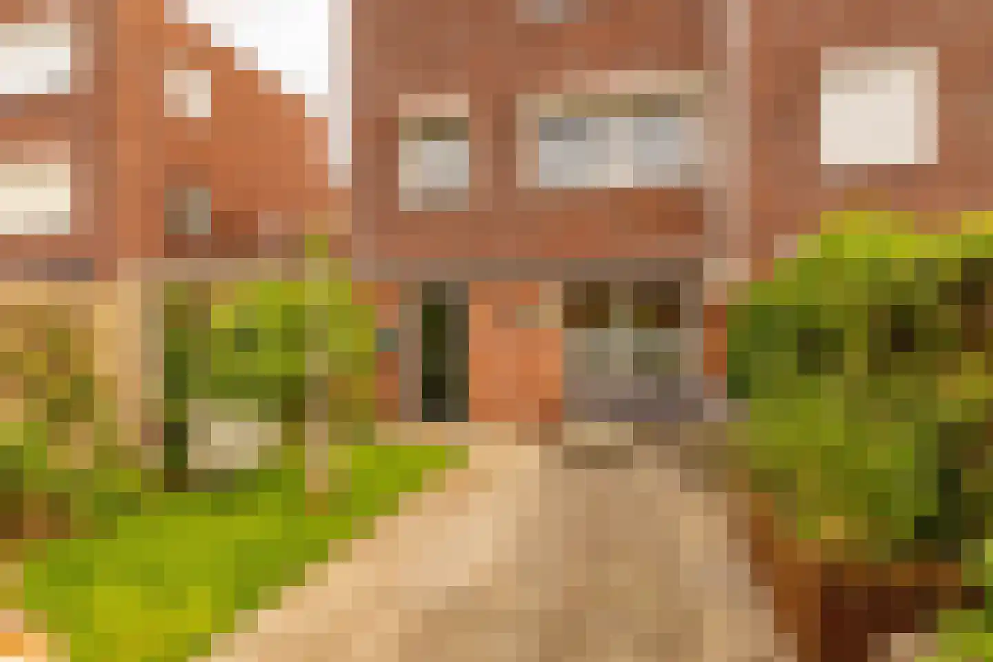 Boswitje 11 Hoogeveen thumbnail 47