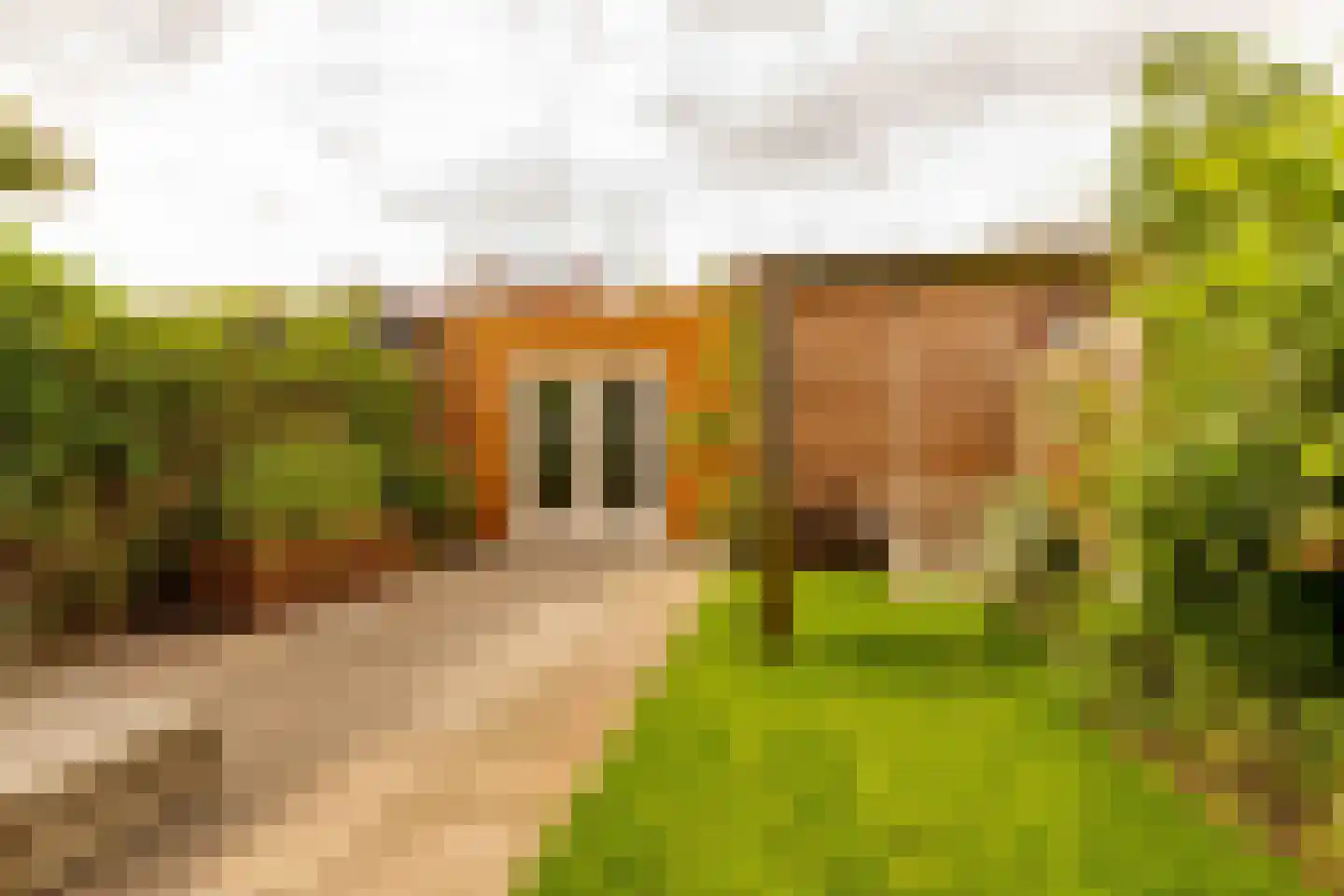 Boswitje 11 Hoogeveen thumbnail 49