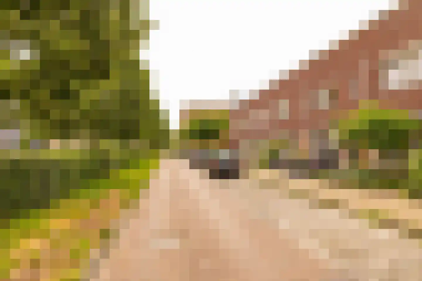 Boswitje 11 Hoogeveen thumbnail 54