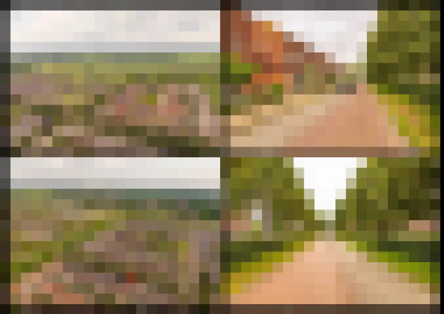 Boswitje 11 Hoogeveen thumbnail 55