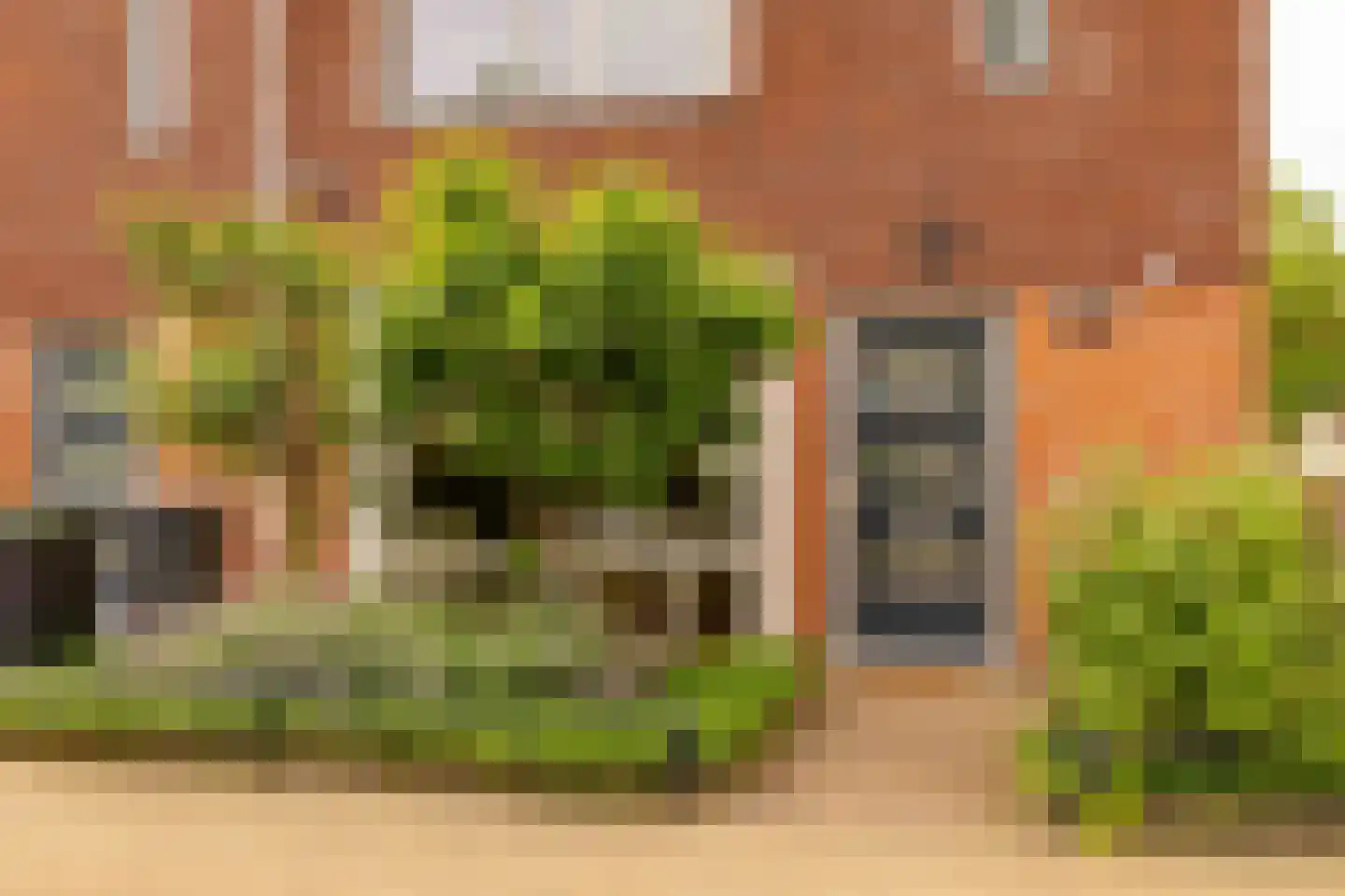 Boswitje 11 Hoogeveen thumbnail 7