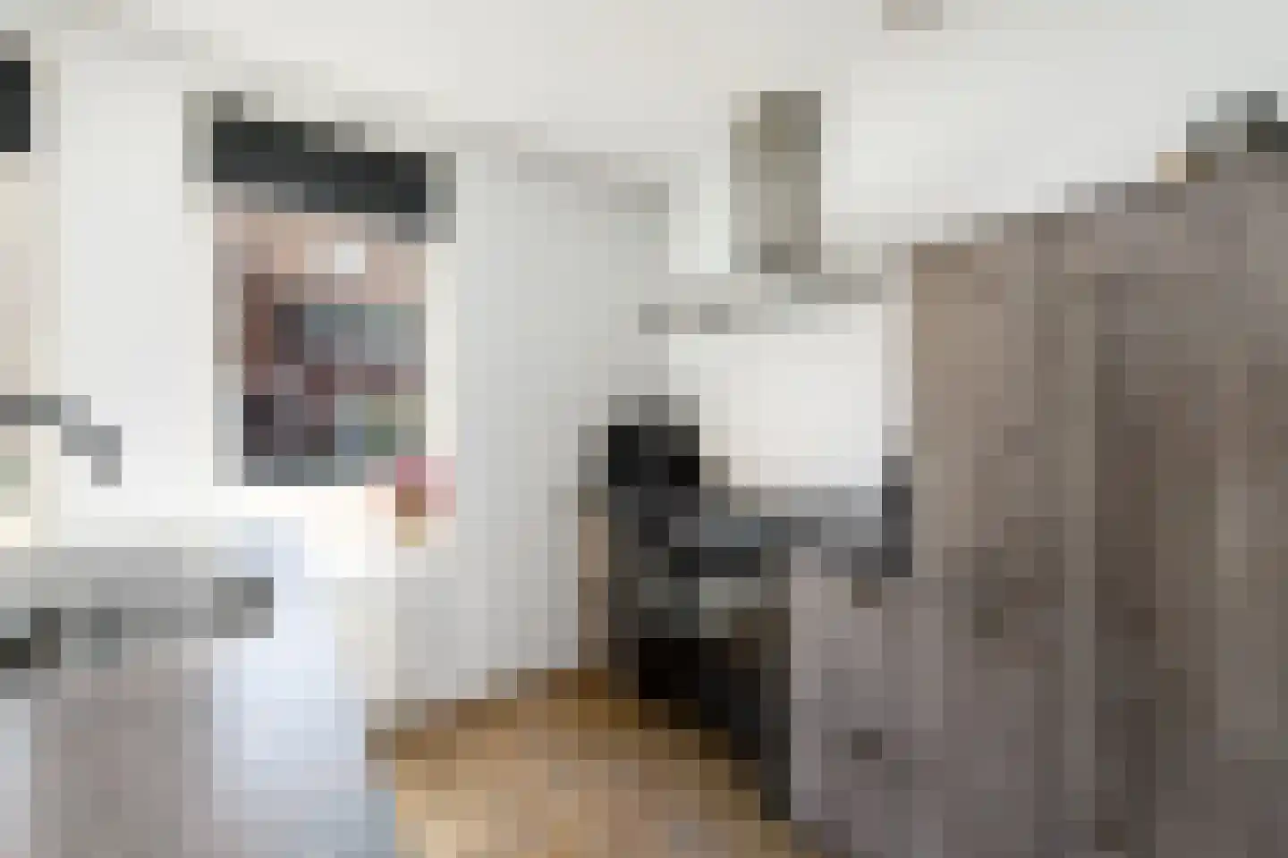 Boswitje 14 Wolvega thumbnail 10