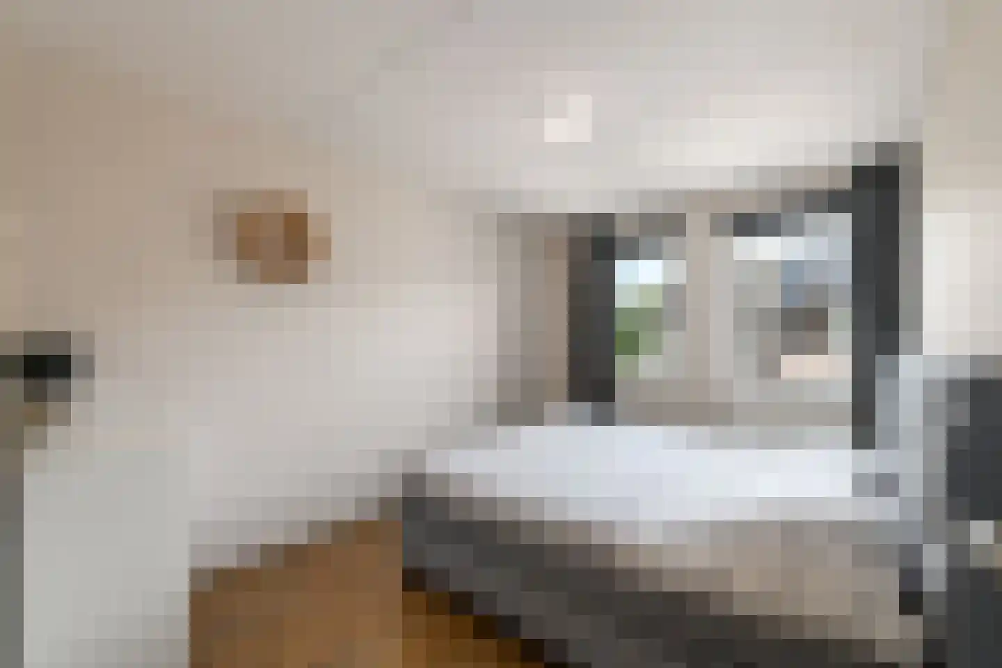 Boswitje 14 Wolvega thumbnail 16