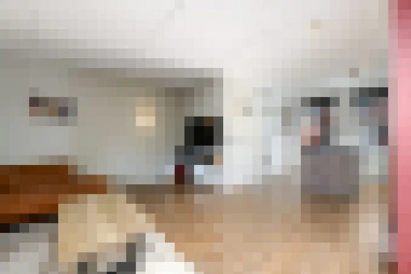 Boswitje 14 Wolvega thumbnail 6