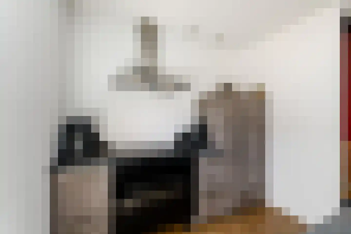 Boswitje 14 Wolvega thumbnail 9