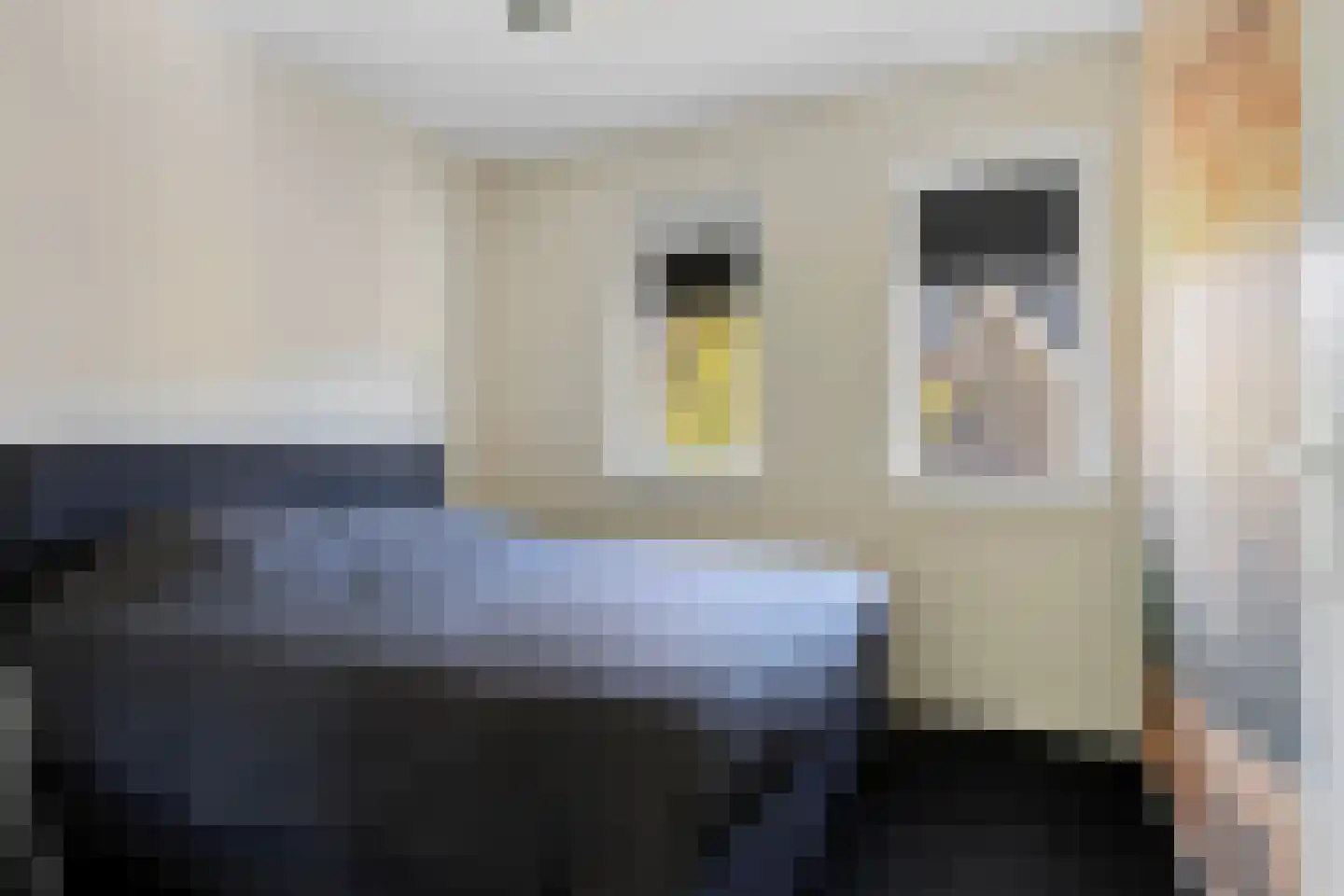 Boswitje 15 Wolvega thumbnail 12