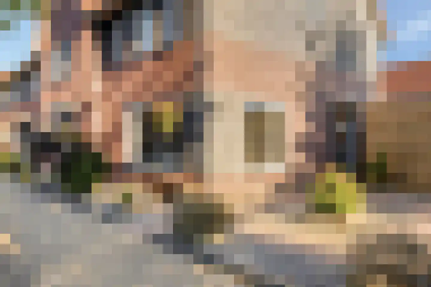 Boswitje 15 Wolvega thumbnail 29