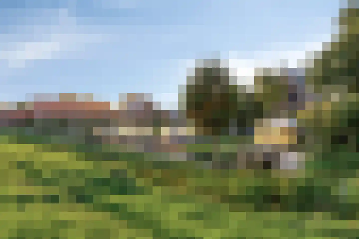 Boswitje 15 Wolvega thumbnail 31