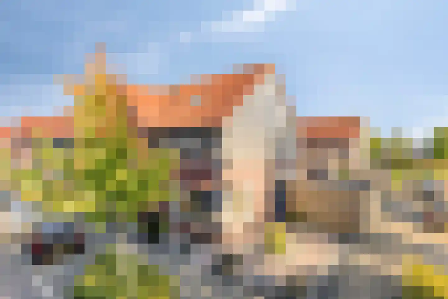 Boswitje 15 Wolvega thumbnail 33