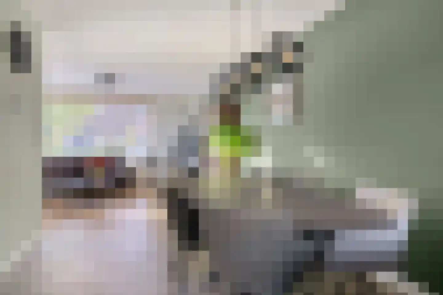 Boswitje 15 Wolvega thumbnail 6