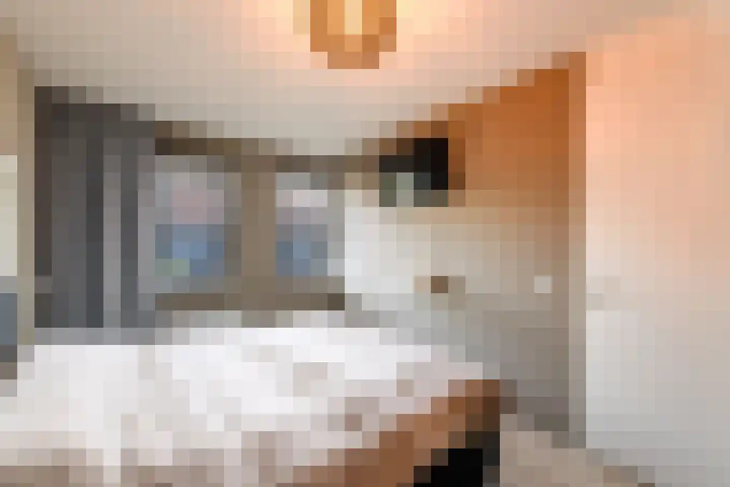 Boswitje 5 Wolvega thumbnail 14