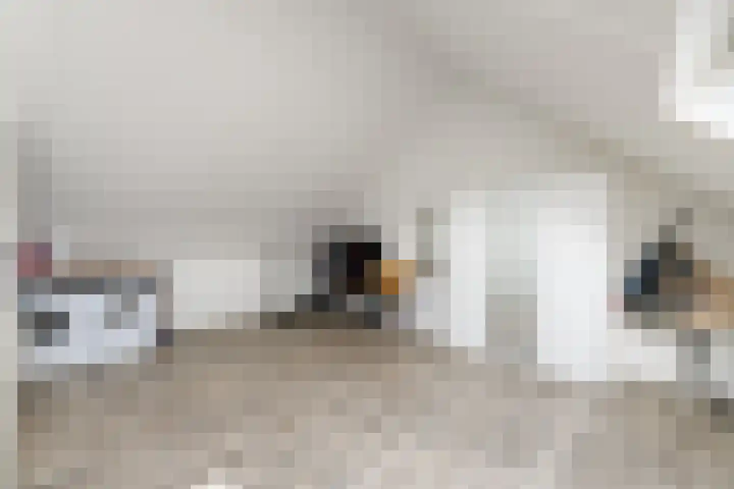 Boswitje 5 Wolvega thumbnail 24