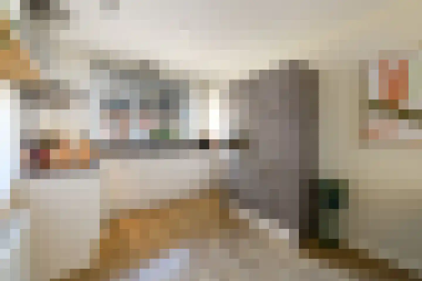 Boswitje 5 Wolvega thumbnail 9