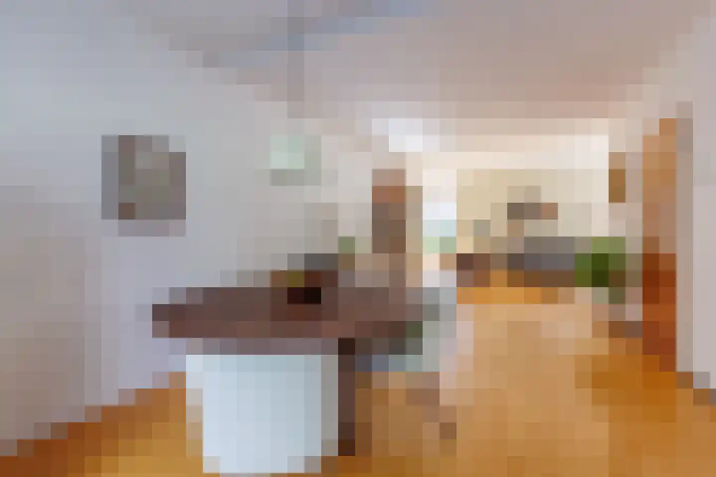 Boszichtlaan 24 Apeldoorn thumbnail 10
