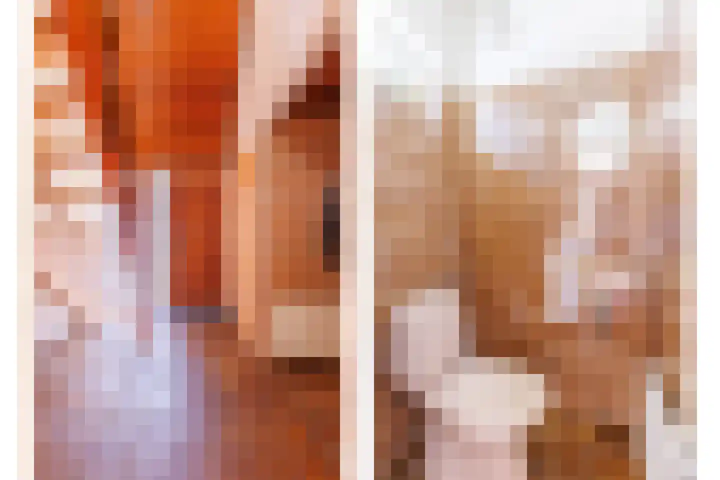 Boszichtlaan 24 Apeldoorn thumbnail 5