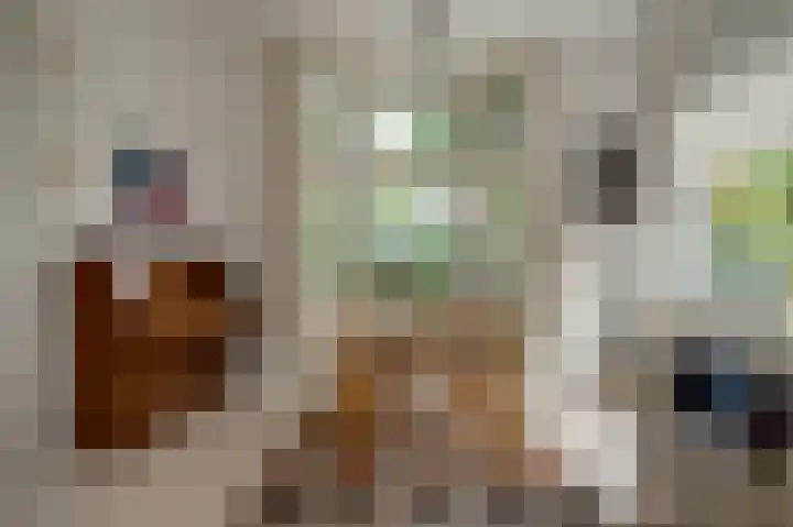Boszichtlaan 3 Apeldoorn thumbnail 16