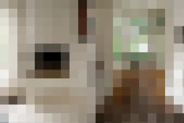 Boszichtlaan 3 Apeldoorn thumbnail 17