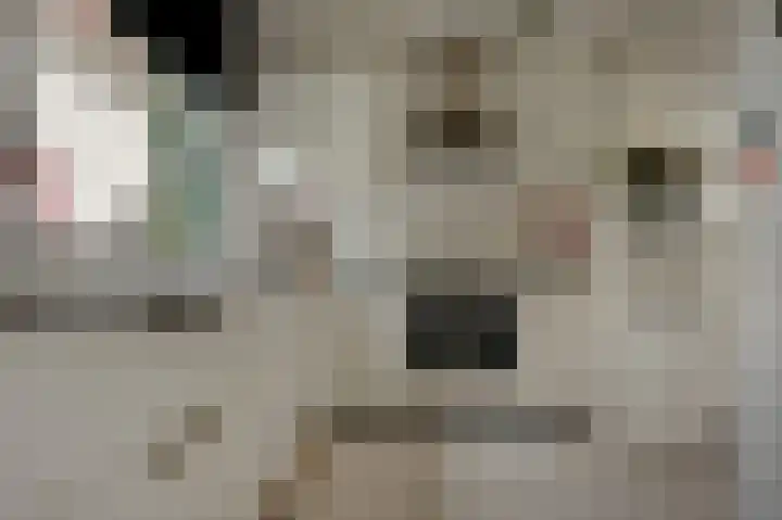 Boszichtlaan 3 Apeldoorn thumbnail 19
