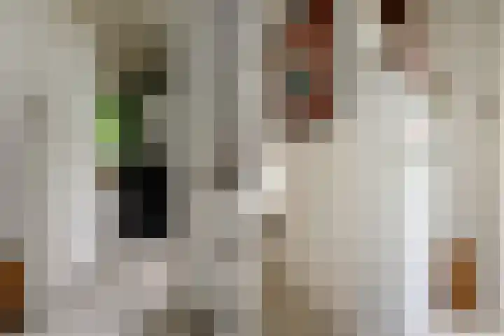 Boszichtlaan 3 Apeldoorn thumbnail 20