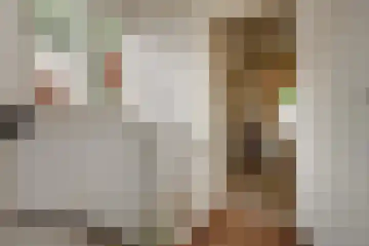 Boszichtlaan 3 Apeldoorn thumbnail 21