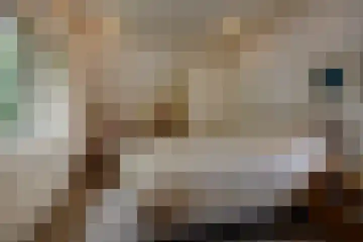 Boszichtlaan 3 Apeldoorn thumbnail 24