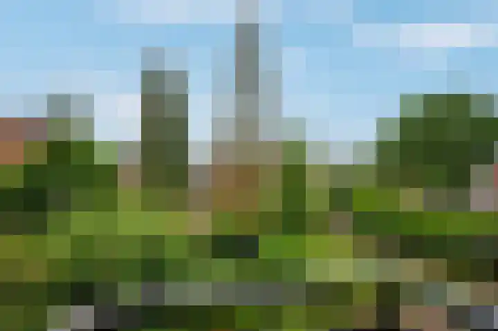 Boszichtlaan 3 Apeldoorn thumbnail 31