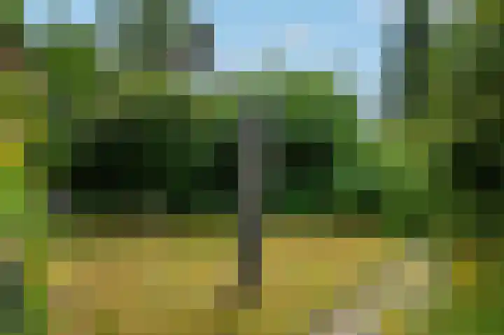 Boszichtlaan 3 Apeldoorn thumbnail 32