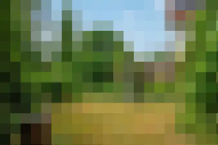 Boszichtlaan 3 Apeldoorn thumbnail 33