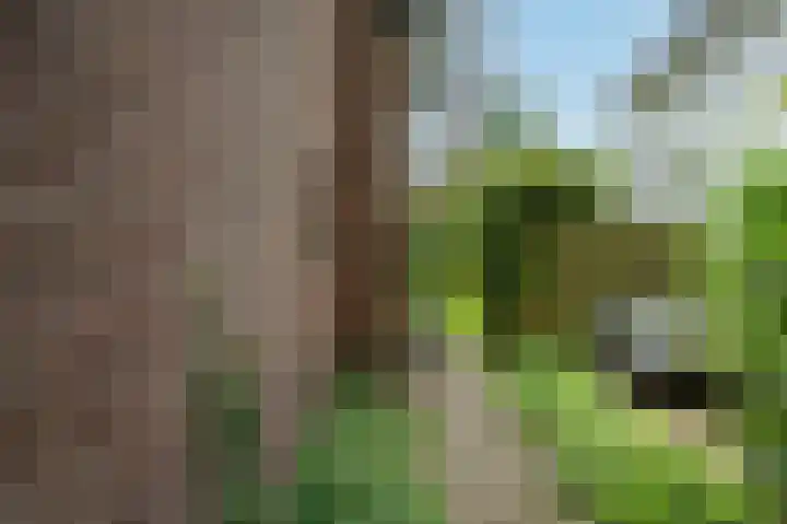 Boszichtlaan 3 Apeldoorn thumbnail 34