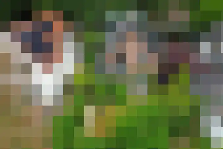Boszichtlaan 3 Apeldoorn thumbnail 37