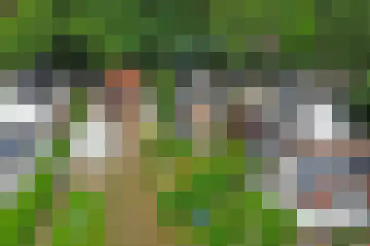 Boszichtlaan 3 Apeldoorn thumbnail 38