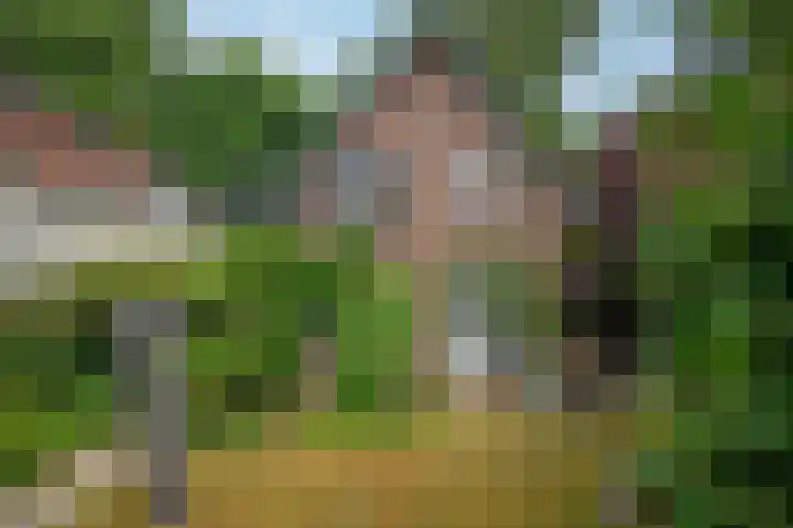 Boszichtlaan 3 Apeldoorn thumbnail 4