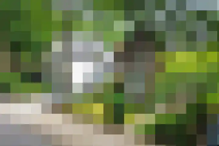 Boszichtlaan 3 Apeldoorn thumbnail 5