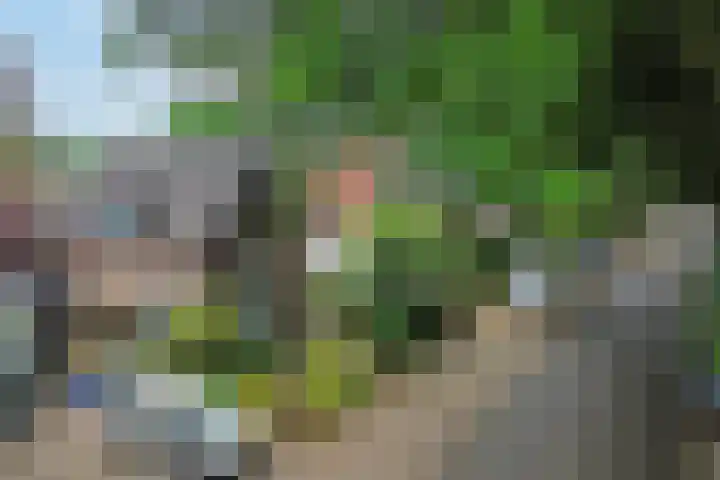 Boszichtlaan 3 Apeldoorn thumbnail 6